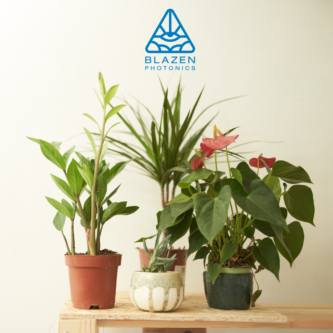 Blazen Photonics Gift Card – Perfect Gift for Indoor Gardeners