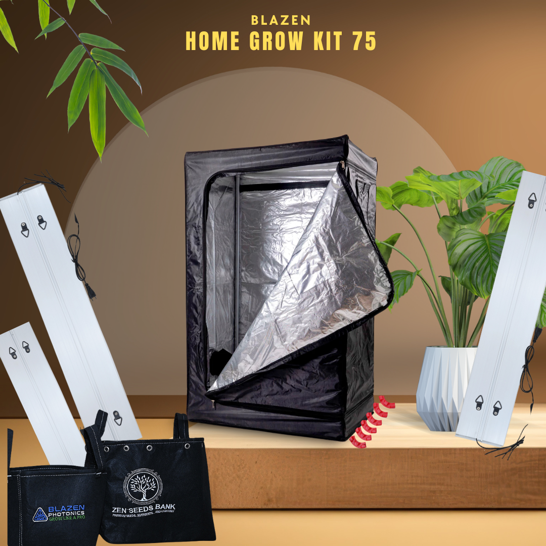 Blazen Home Grow Kit 75 - All-in-One Indoor Gardening Kit