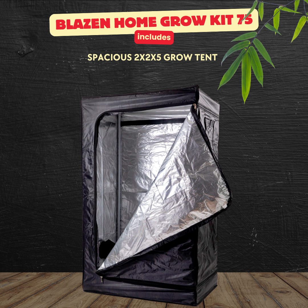 Blazen Home Grow Kit 75 - All-in-One Indoor Gardening Kit