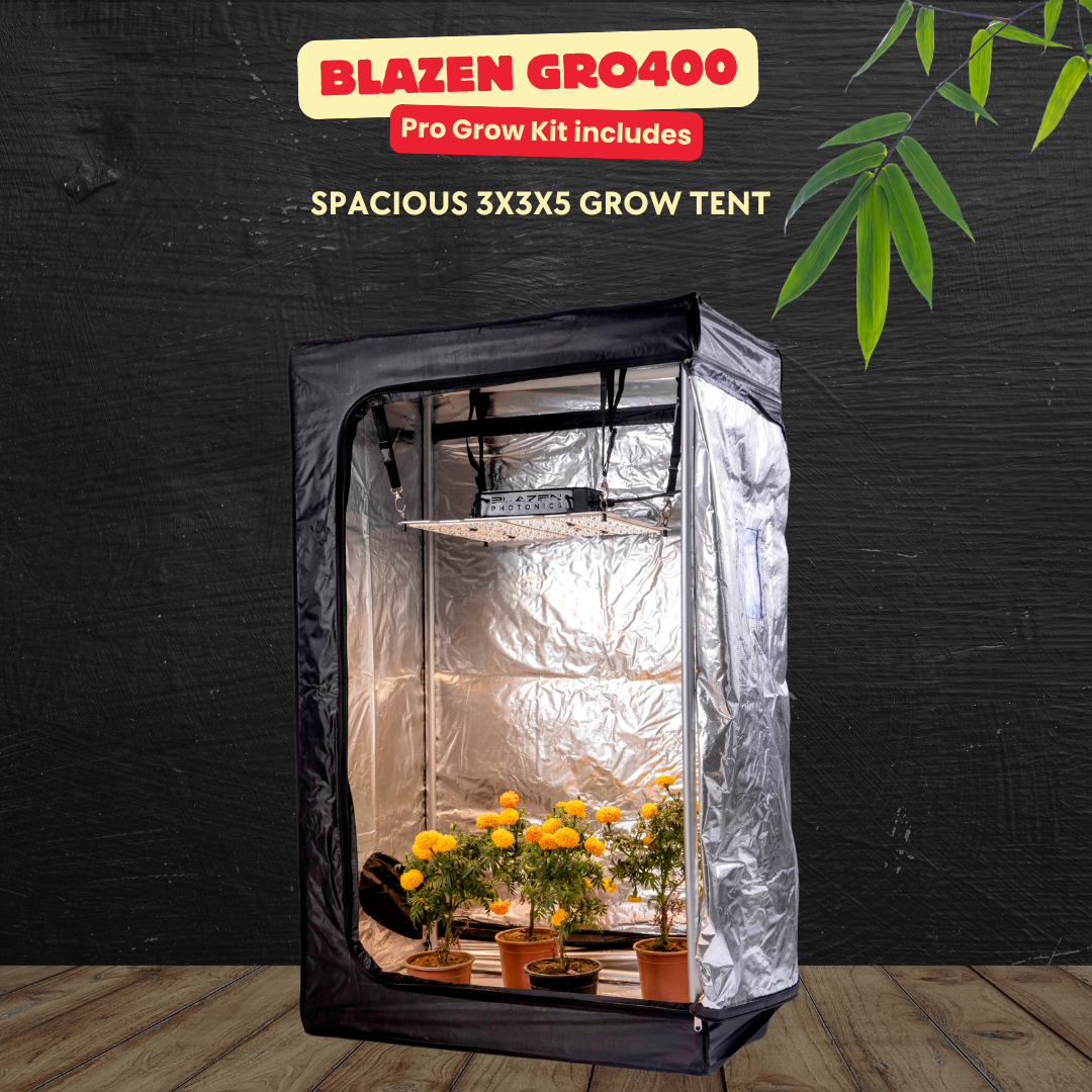 Blazen Gro200 Pro Grow Kit - Professional Indoor Gardening Solution