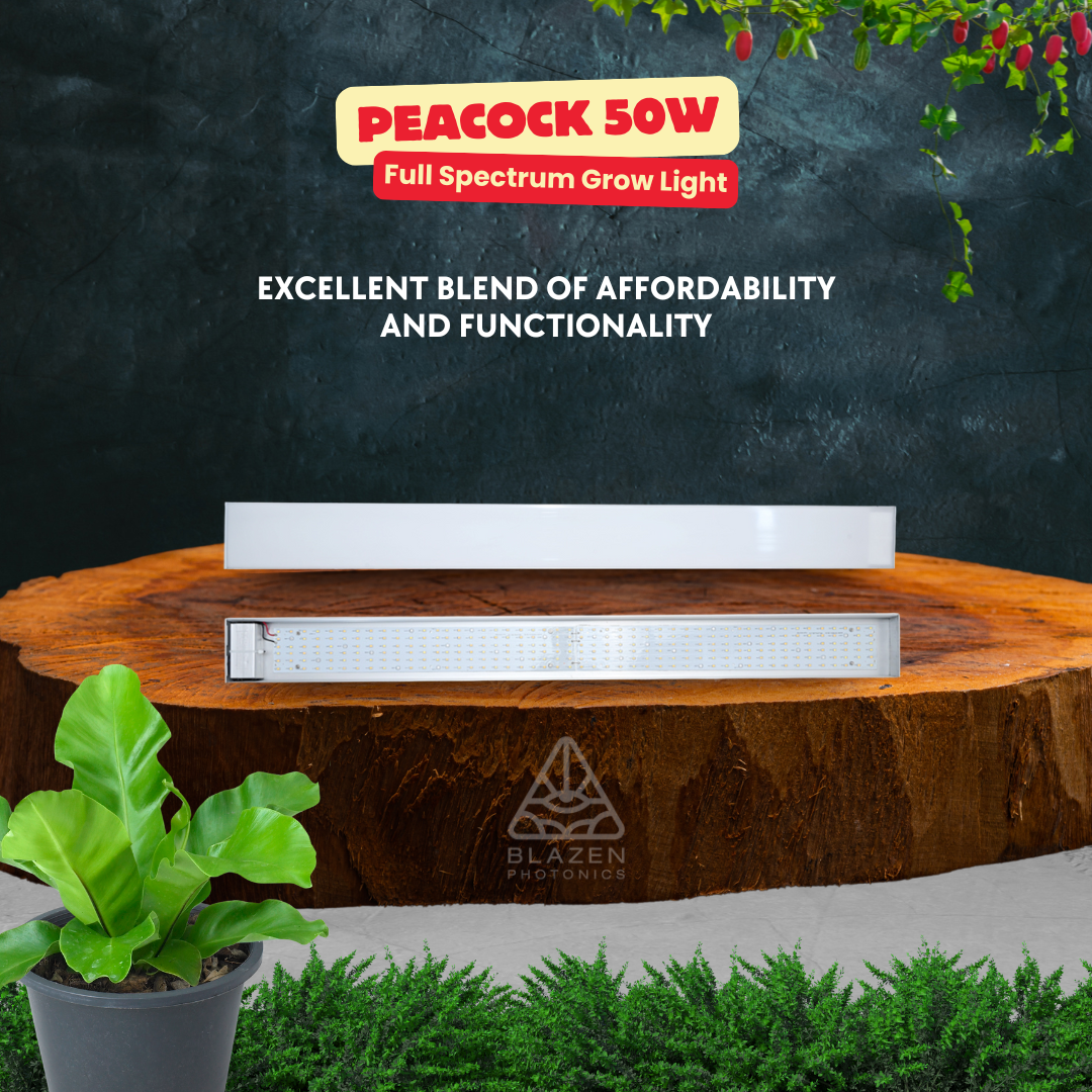 Peacock 50W Full Spectrum Grow Light – Efficient Lighting for Healthy Plant Growth