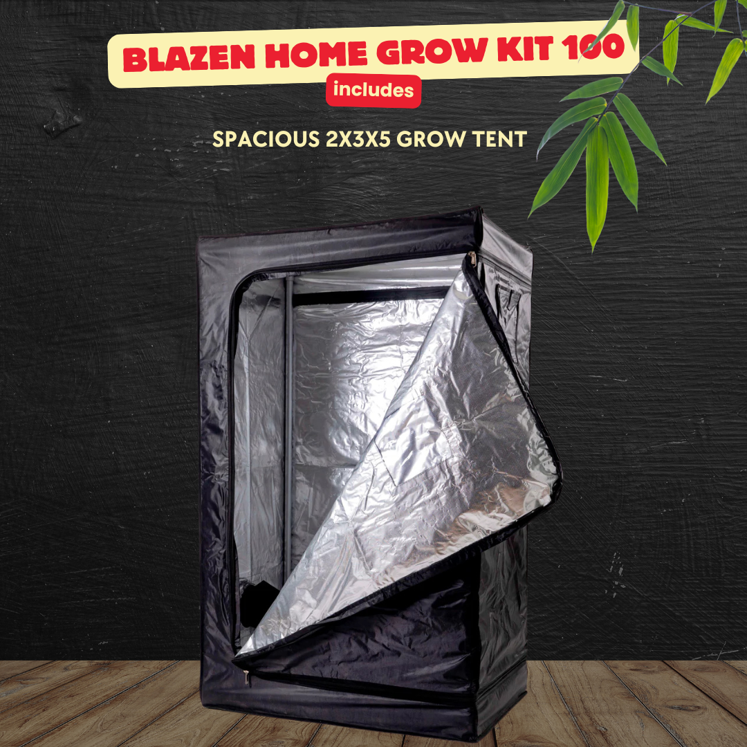 Blazen Home Grow Kit 100 - Premium Indoor Gardening Solution