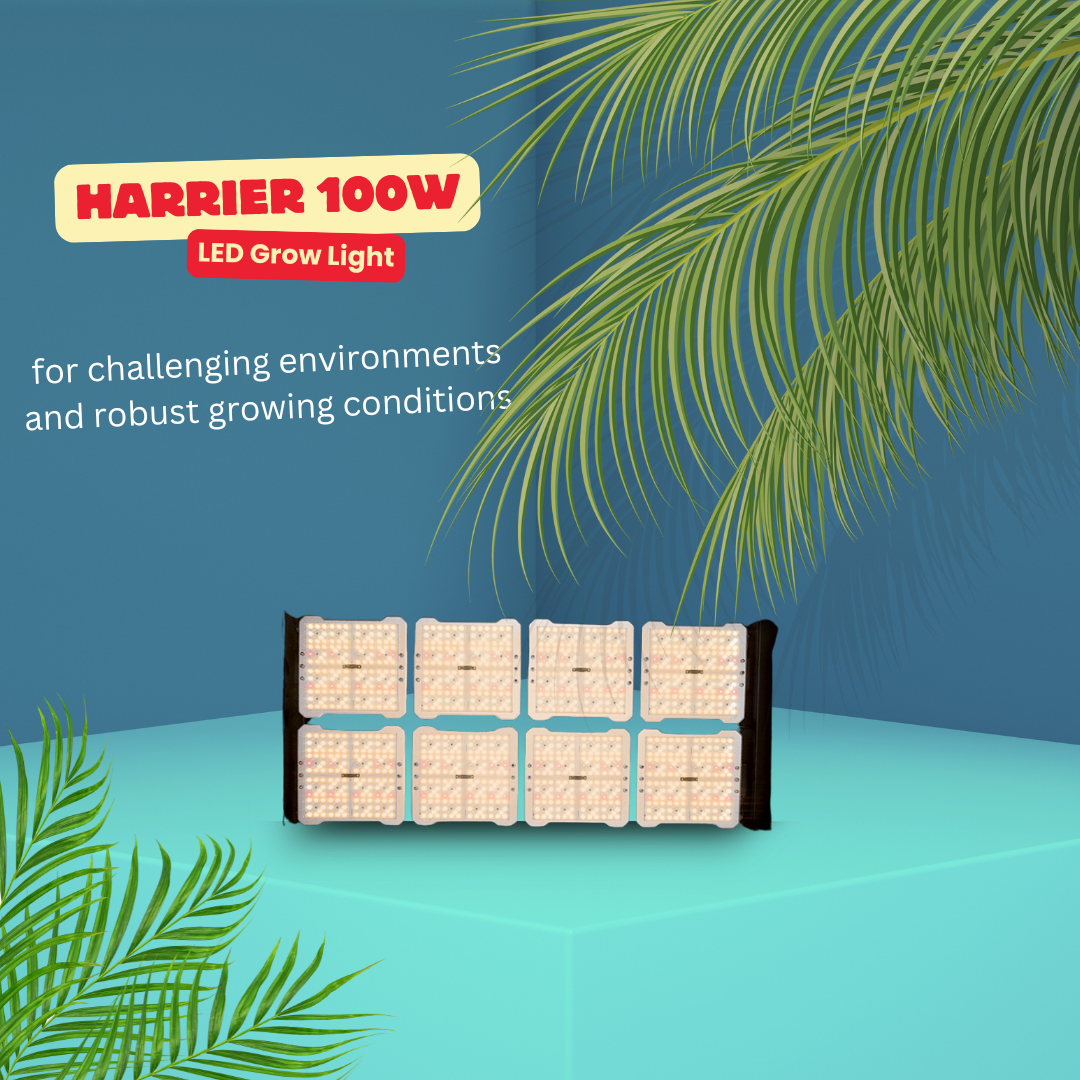 Hornet 400W LED Grow Light – Full Spectrum IoT Smart Lighting for Large-Scale Indoor Gardens