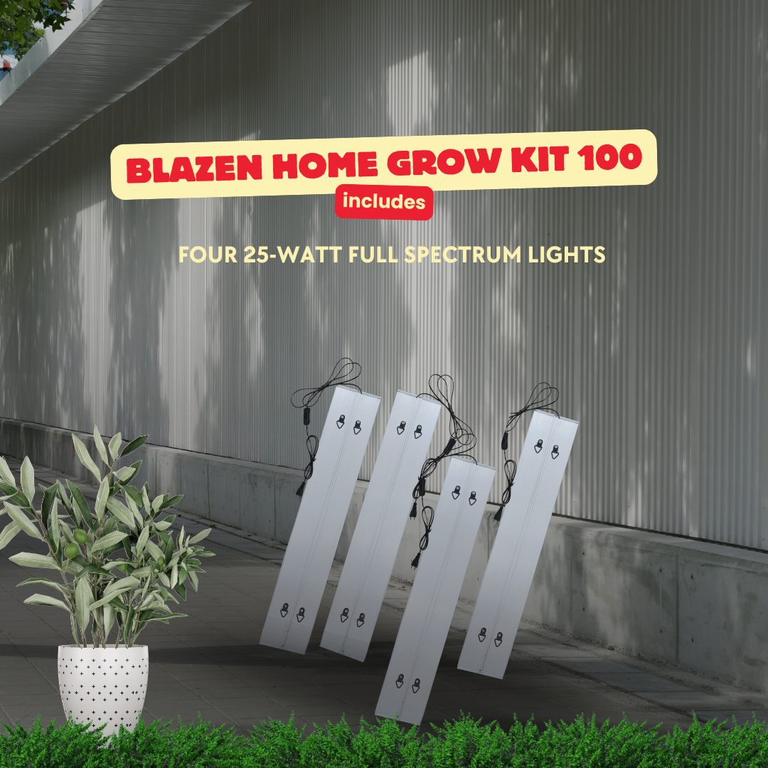 Blazen Home Grow Kit 100 - Premium Indoor Gardening Solution