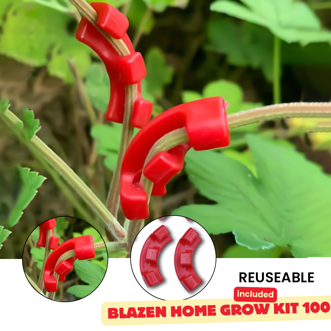 Blazen Home Grow Kit 100 - Premium Indoor Gardening Solution
