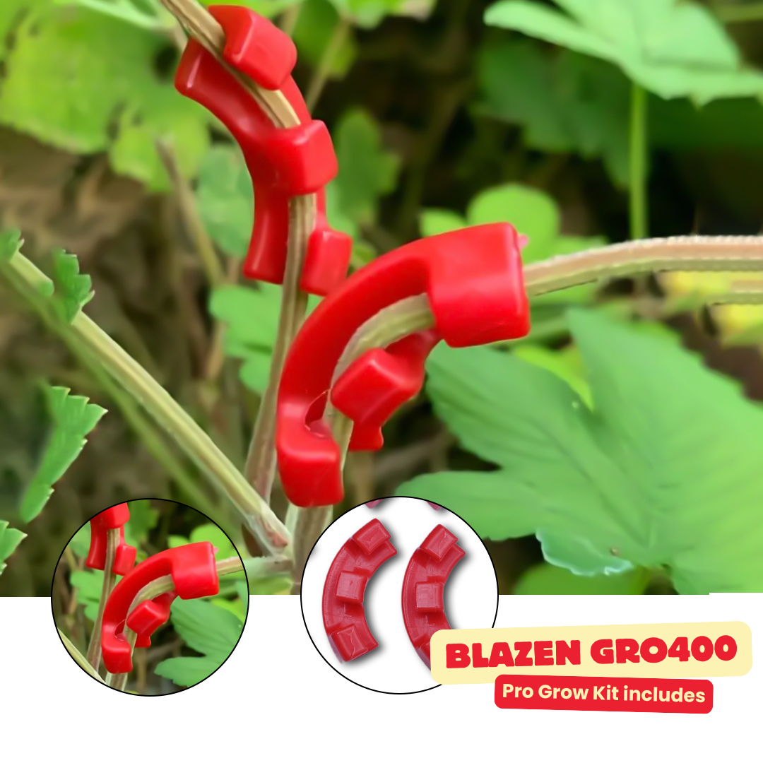 Blazen Gro200 Pro Grow Kit - Professional Indoor Gardening Solution