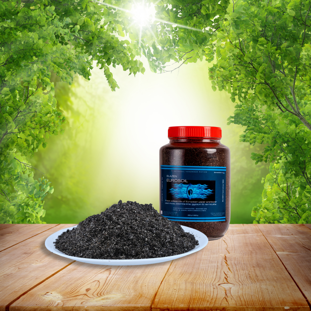 Blazen EuroSoil 5 Kg – Premium Soil Mix for Indoor Gardening