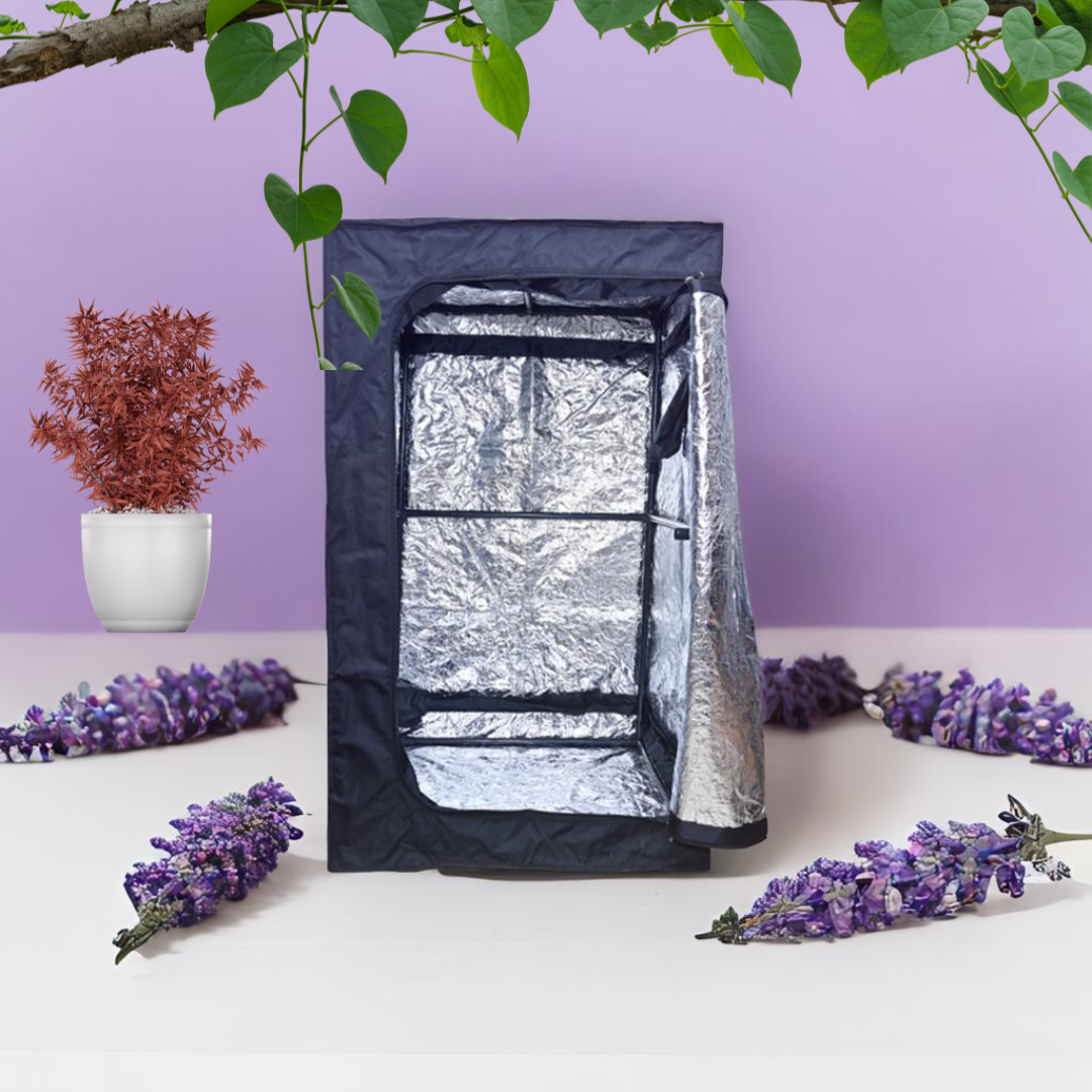 Blazen Grow Tent 3'x3'x6' – Perfect for Indoor Gardening and Plant Growth