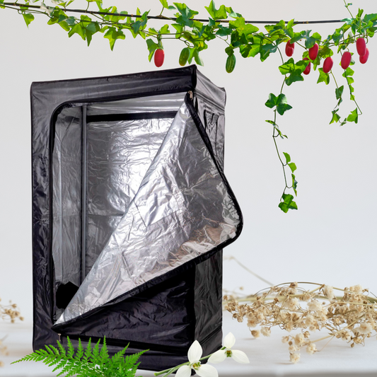 Blazen Grow Tent 2’X3’x6′ – Perfect for Indoor Gardening and Plant Growth