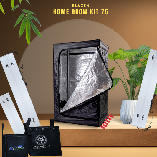 Blazen Home Grow Kit 75