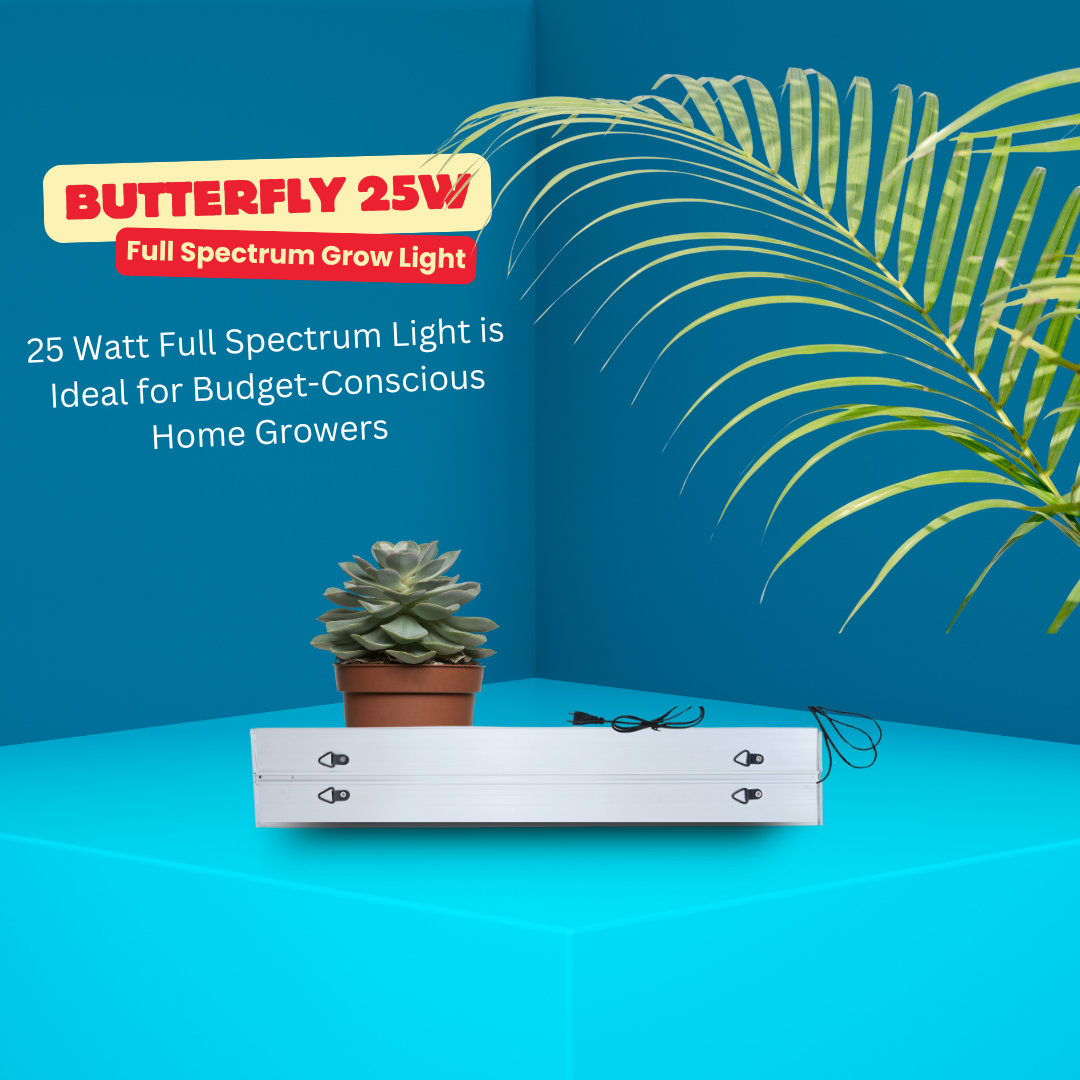 Butterfly 25w Full Spectrum Grow Light