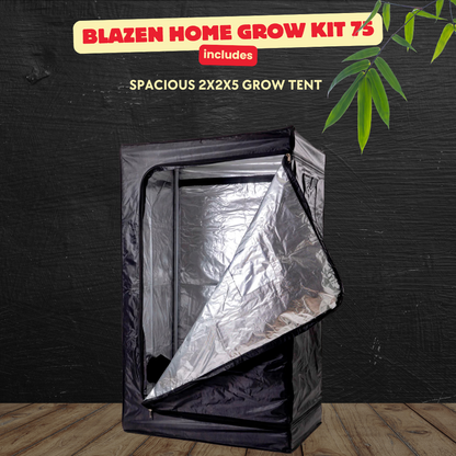 Blazen Home Grow Kit 75