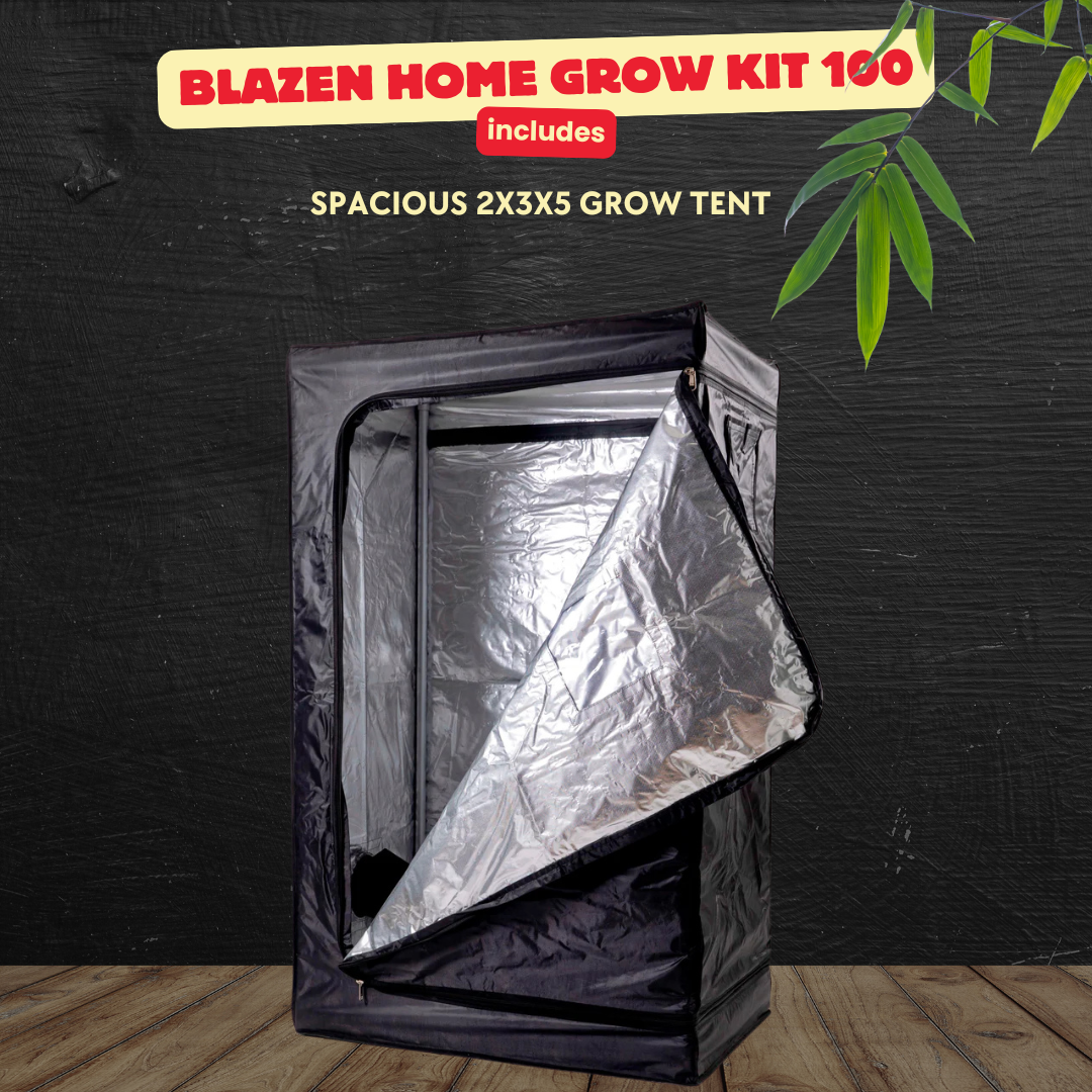 Blazen Home Grow Kit 100