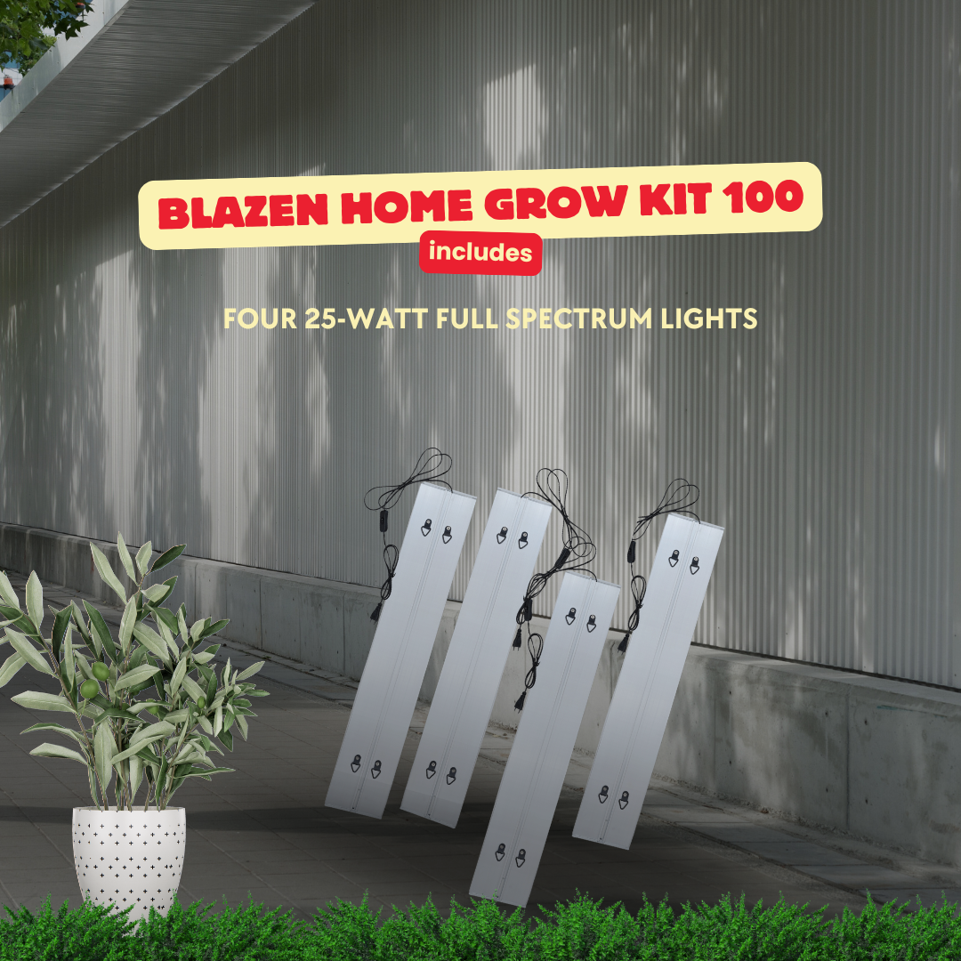 Blazen Home Grow Kit 100