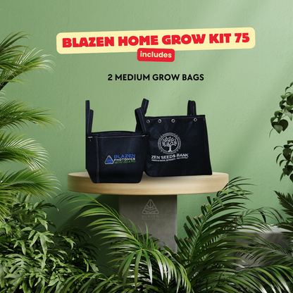 Blazen Home Grow Kit 75