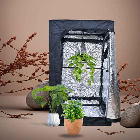 Blazen Grow Tent 2’x2’x5′