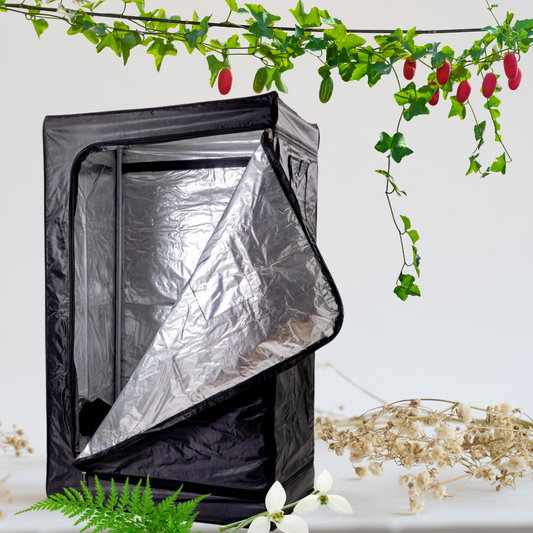 Blazen Grow Tent 2’X3’x5′